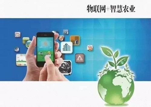 云南物联网智慧农业远程智能监控云平台的功能特点